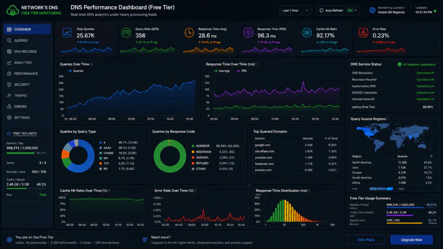 Analytical dashboard view of the network's free tier DNS performance metrics under heavy processing loads