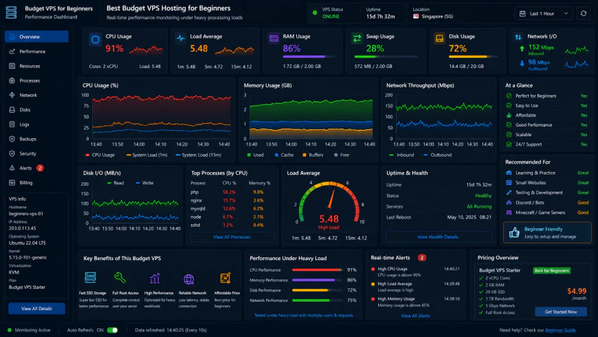 Analytical dashboard view of best budget vps hosting for beginners performance metrics under heavy processing loads